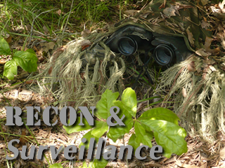 Recon & Surveillance